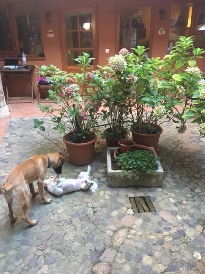Veguellina de Órbigo Casa Deogracias 빌라 외부 사진